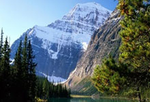 斗魚(yú)直播美股跌8% Q2直播收入降27%月活跌破4000万